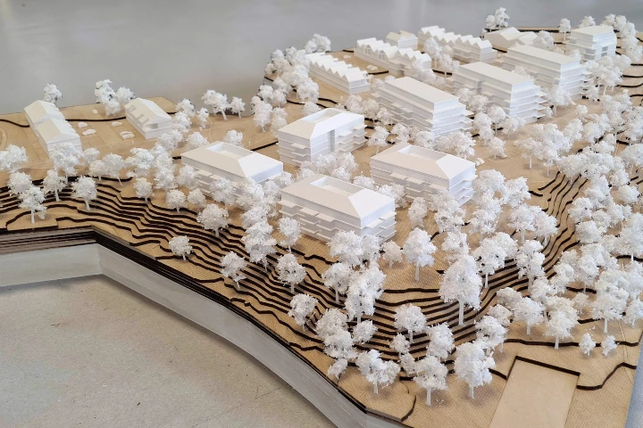 Maquette Bois - Concours urbanisme - Talant
