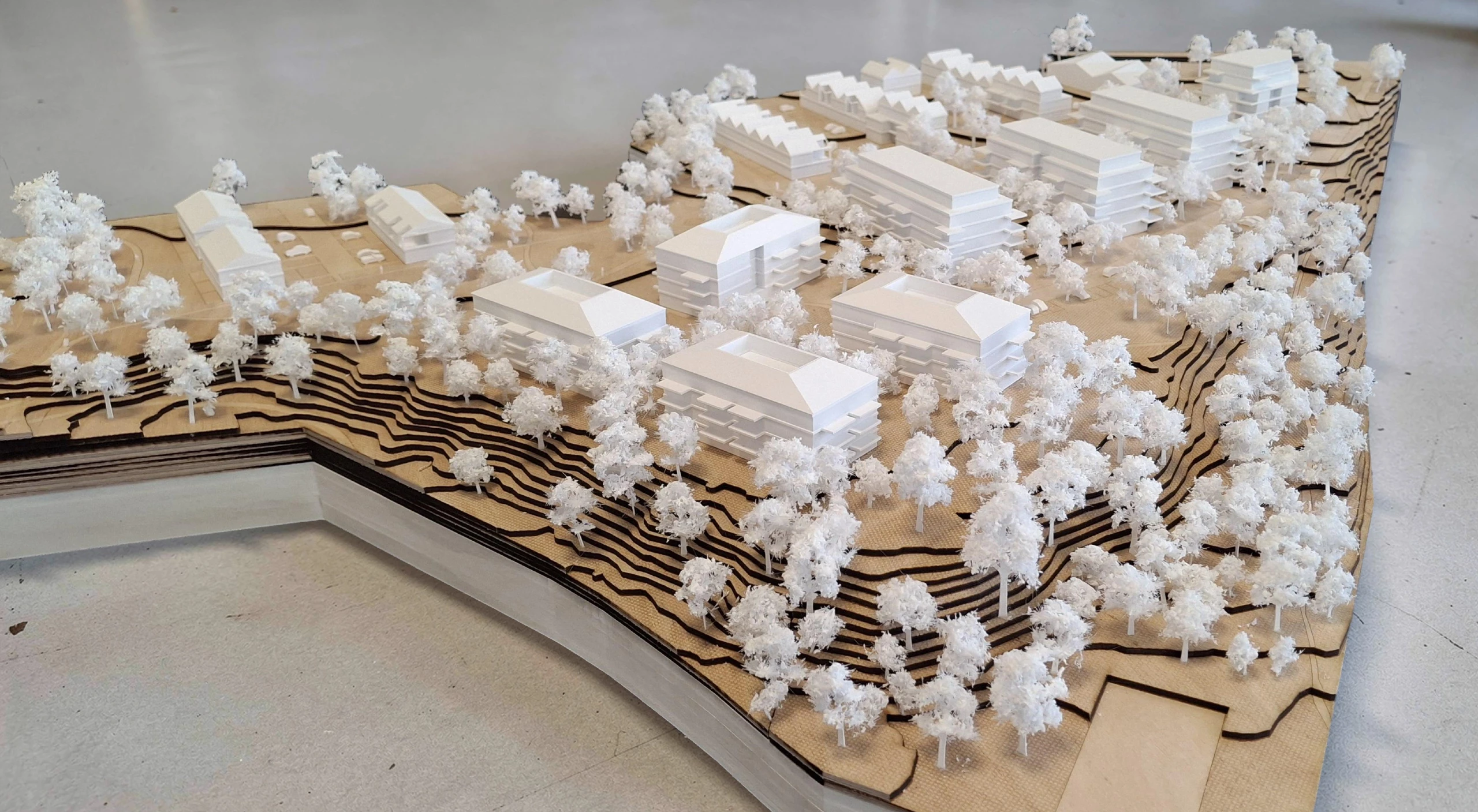 Maquette Bois - Concours urbanisme - Talant