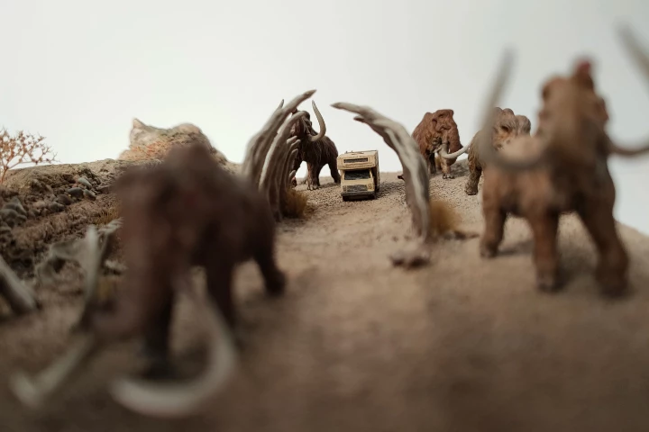 Maquette muséologie - Bourso Bank