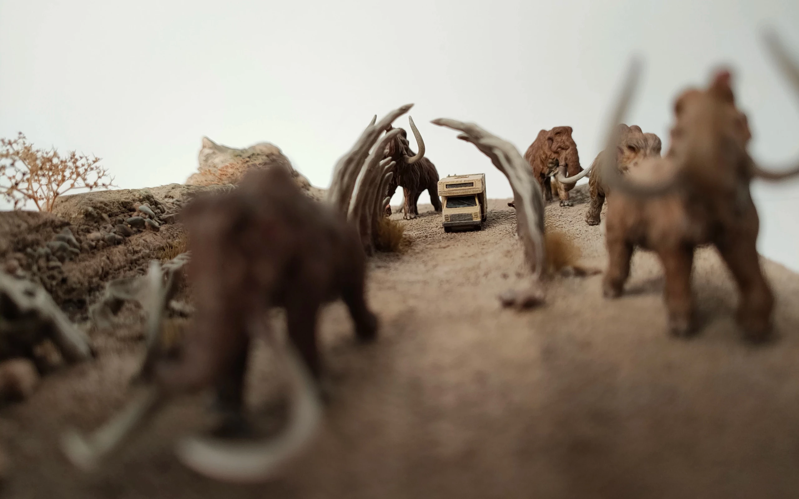Maquette muséologie - Bourso Bank