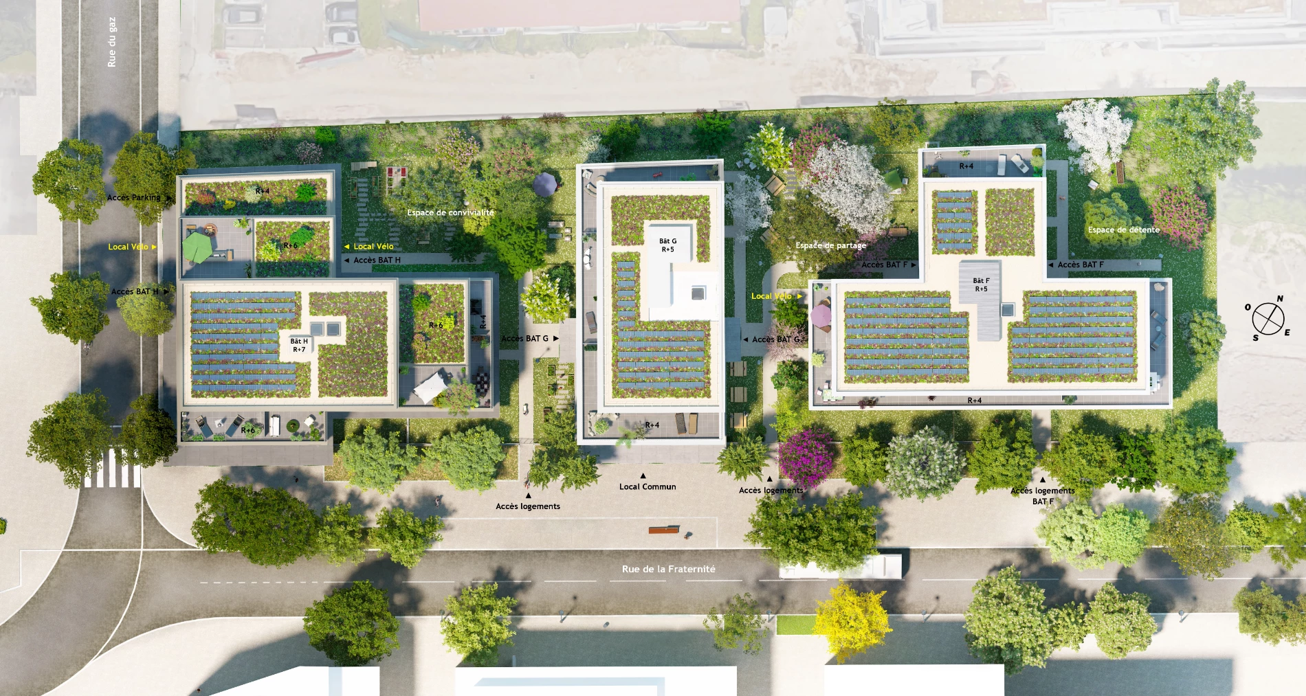 plan masse studio fau promotion immobiliere bnp paribas